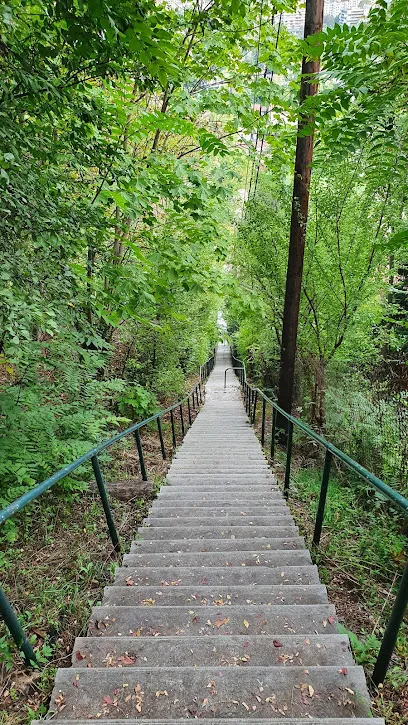 Image de Escalier - Montée du Père Dumas