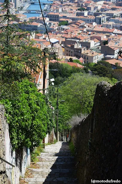 Image de Escaliers du Mont Saint-Clair