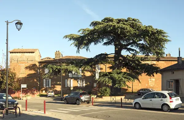 Monte Escalier Mobilité Installateur monte escalier Aussonne