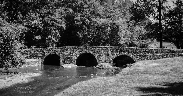 Monte Escalier Mobilité Installateur monte escalier Azay-le-Brûlé