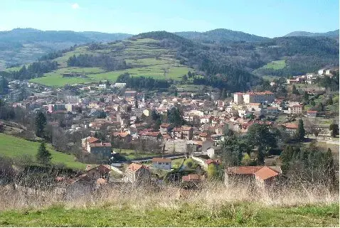 Monte Escalier Mobilité Installateur monte escalier Bourg-Argental