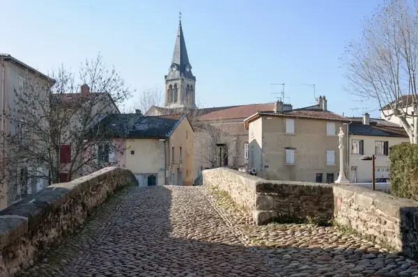 Monte Escalier Mobilité Installateur monte escalier Brignais