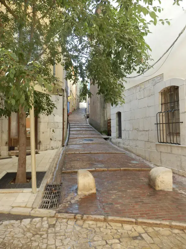 Monte Escalier Mobilité Installateur monte escalier Brignoles