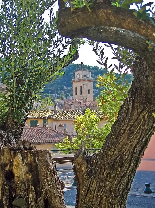 Monte Escalier Mobilité Installateur monte escalier Ceyreste