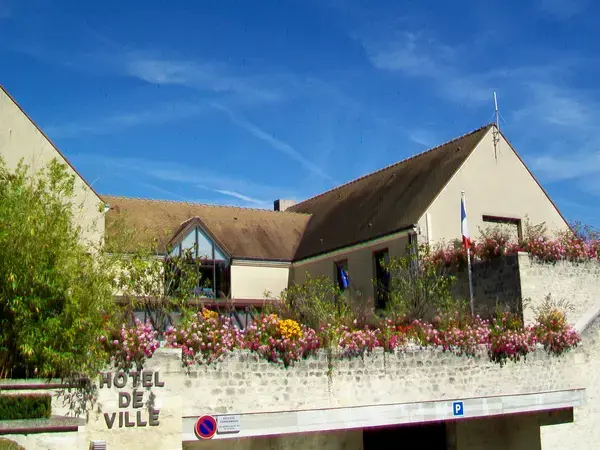 Monte Escalier Mobilité Installateur monte escalier Courdimanche
