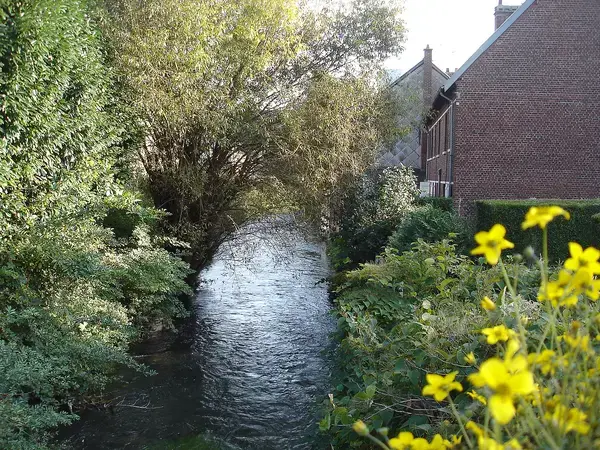 Monte Escalier Mobilité Installateur monte escalier Déville-lès-Rouen