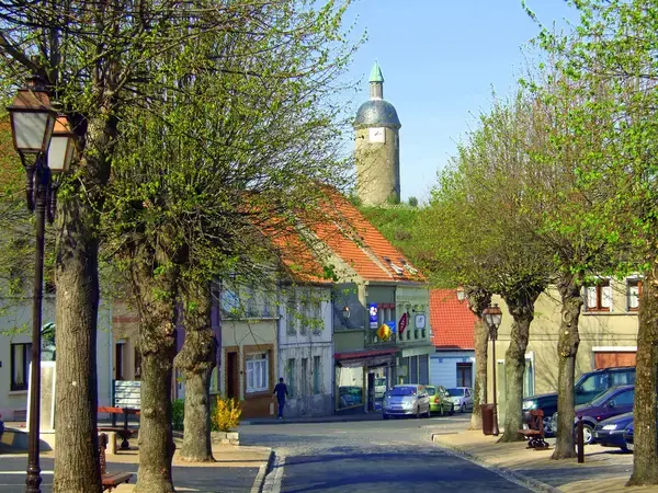 Monte Escalier Mobilité Installateur monte escalier Guînes
