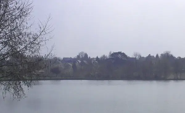 Monte Escalier Mobilité Installateur monte escalier La Bazoge