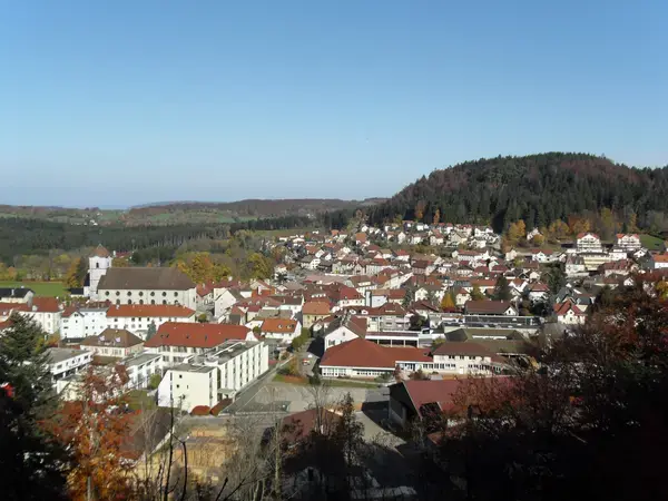 Monte Escalier Mobilité Installateur monte escalier Maîche