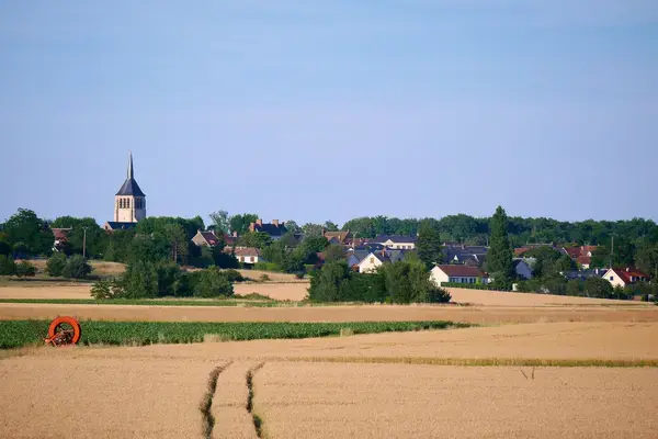 Monte Escalier Mobilité Installateur monte escalier Mardié