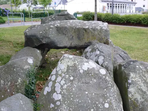Monte Escalier Mobilité Installateur monte escalier Ploufragan