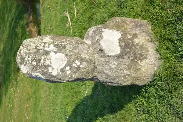 Monte Escalier Mobilité Installateur monte escalier Prinquiau