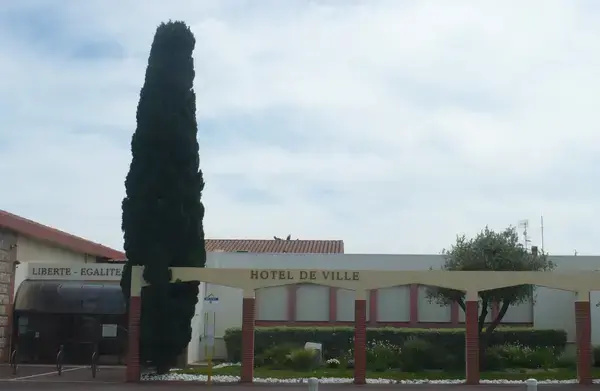 Monte Escalier Mobilité Installateur monte escalier Saleilles