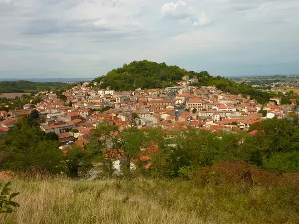 Monte Escalier Mobilité Installateur monte escalier Vertaizon