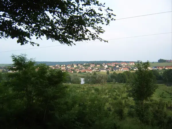 Monte Escalier Mobilité Installateur monte escalier Woustviller